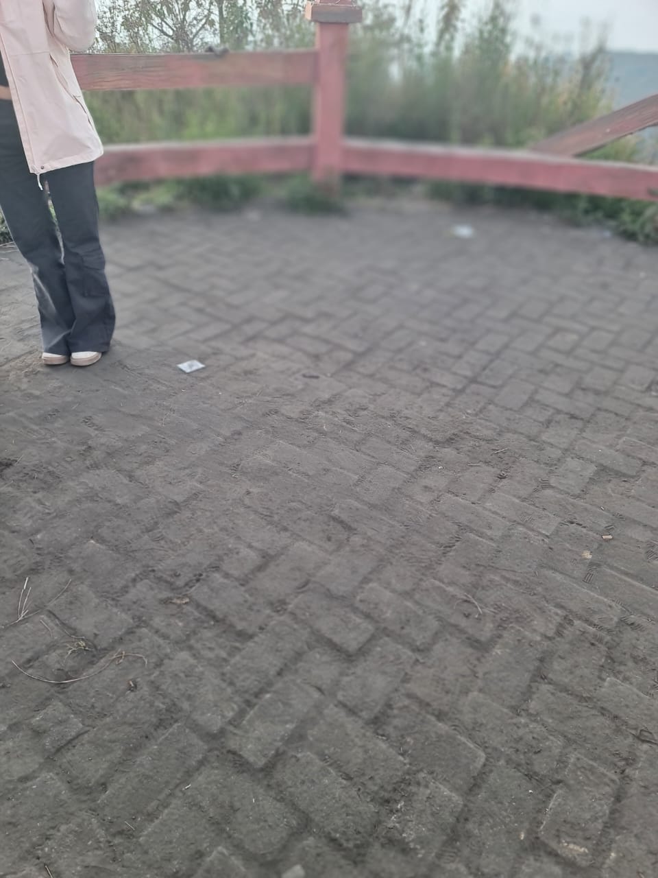 WhatsApp Image 2026-08-01 at 19.27.29 (1)
